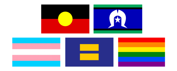 Screen Queensland supportors flag.