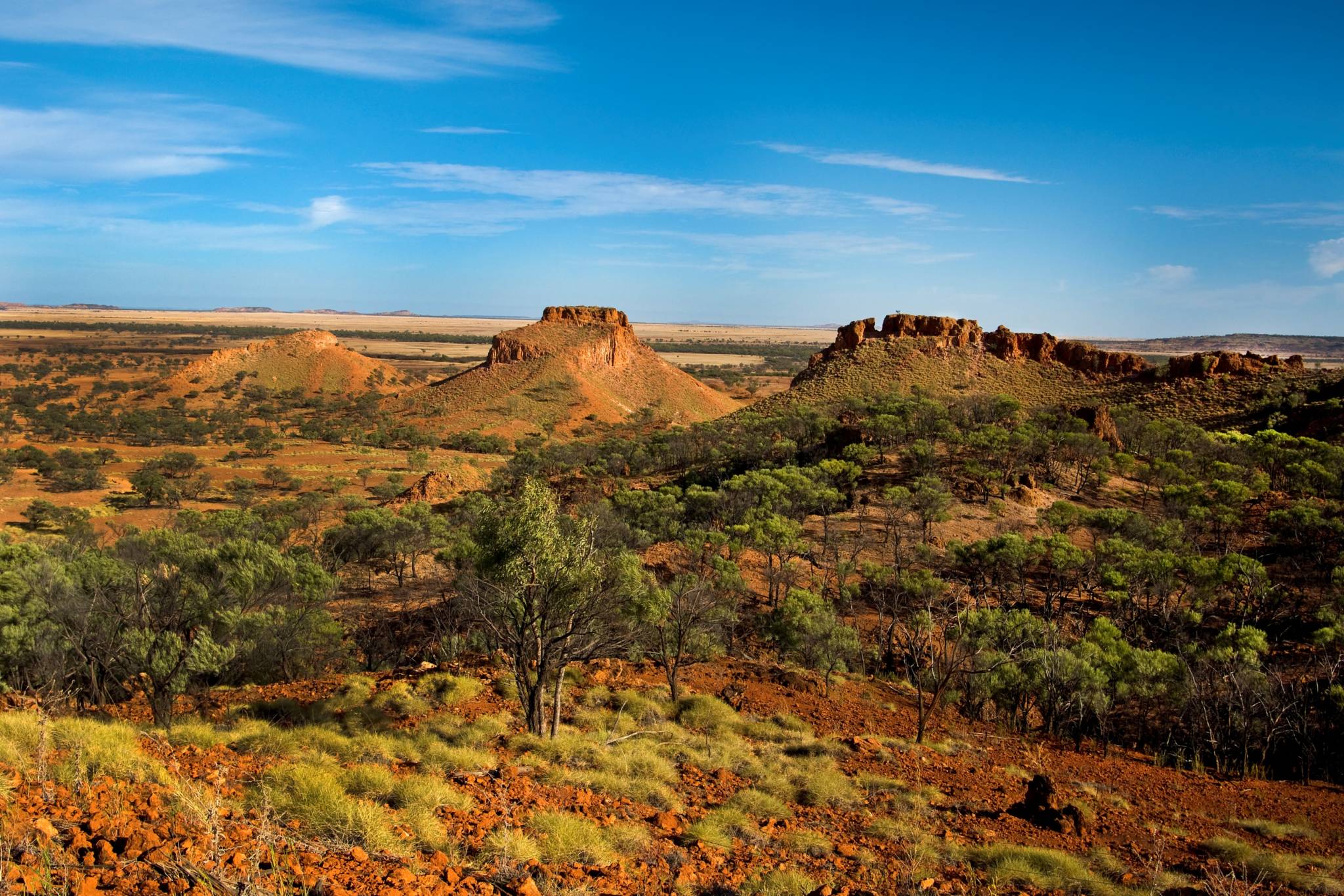 John Elliot — WInton