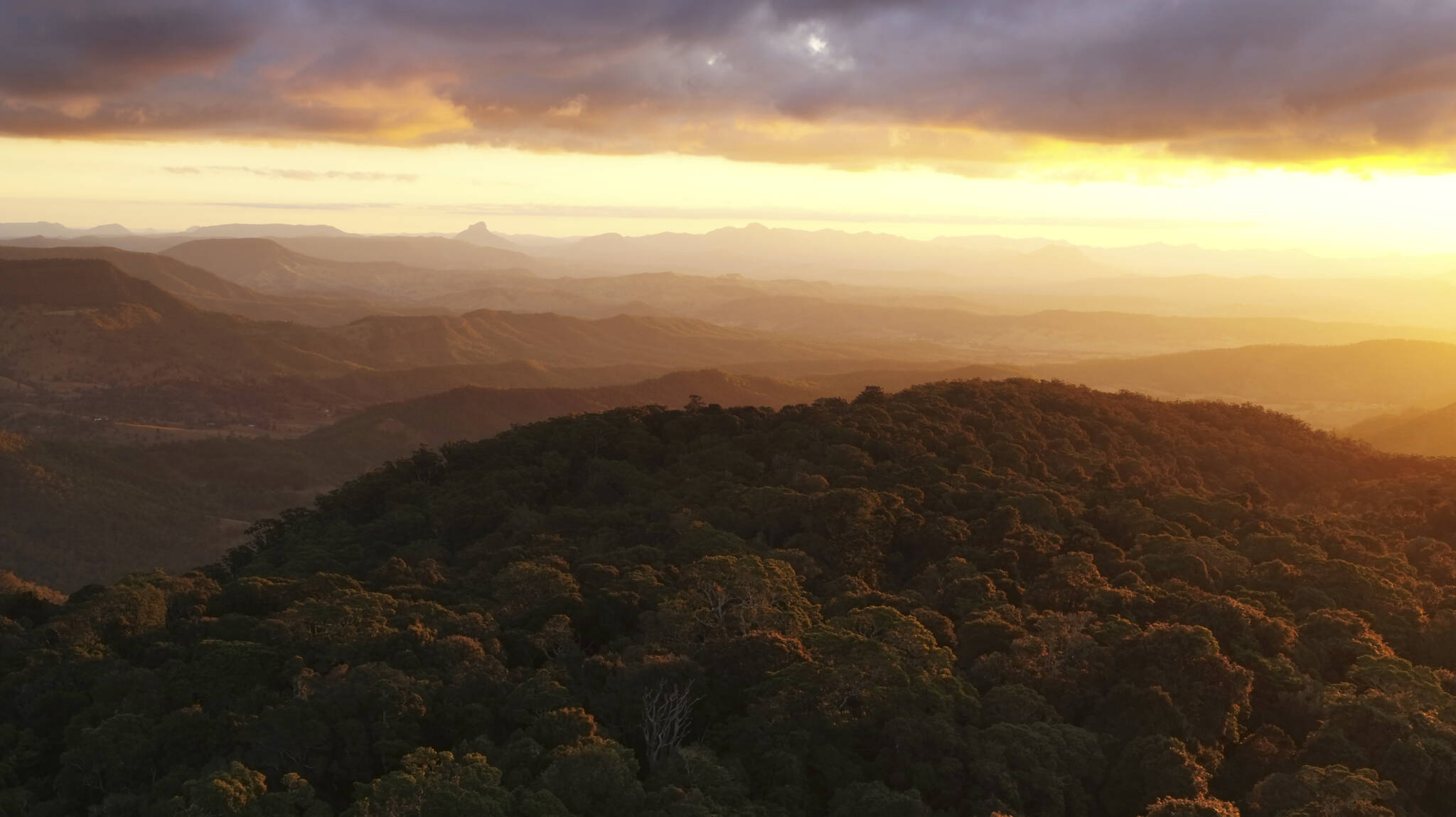 Sunset view over the Gold Coast rainforest hinterland from O'Reilly's, courtesy of Destination Gold Coast